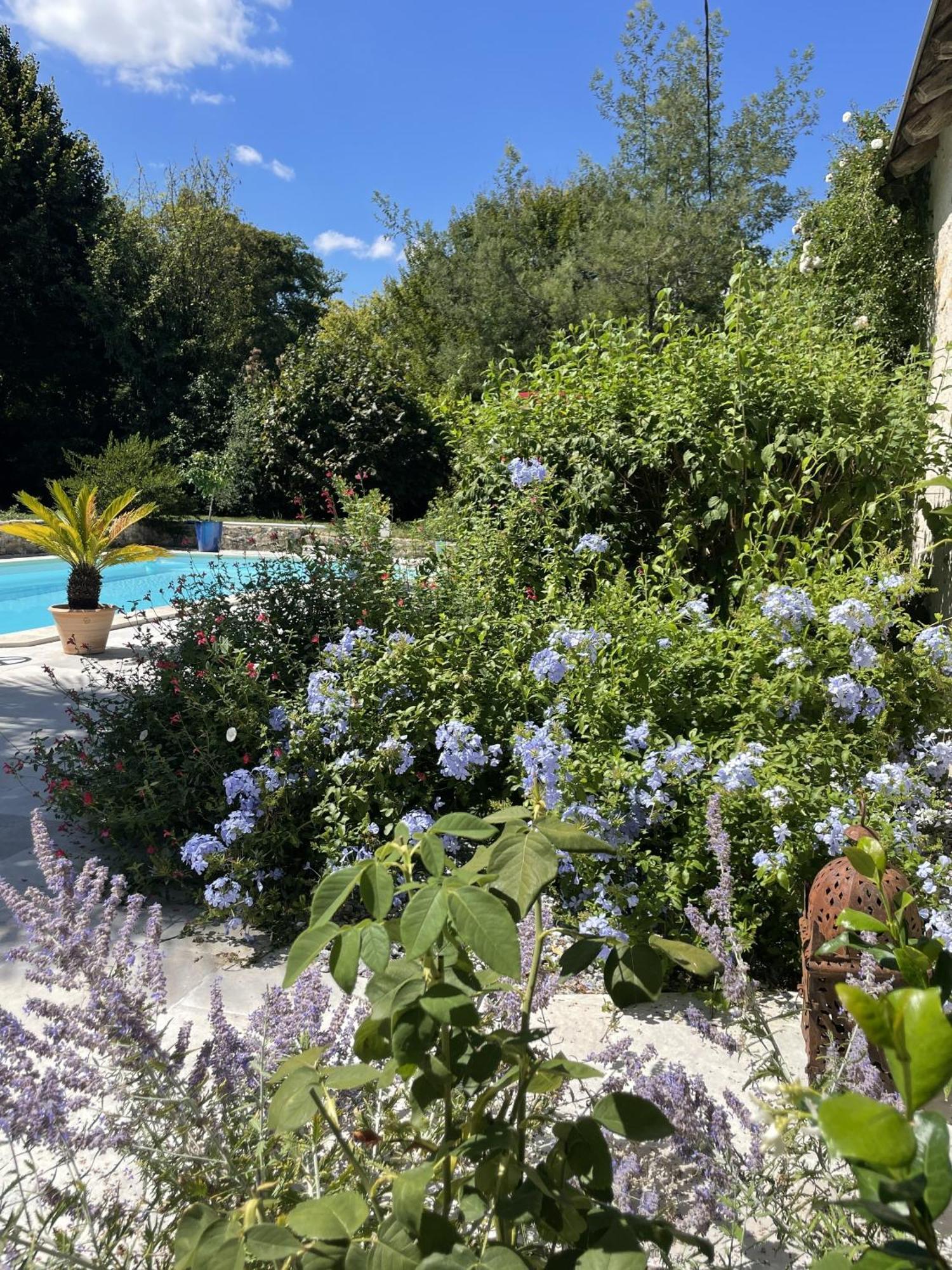 Esvres Villa Cassandre מראה חיצוני תמונה